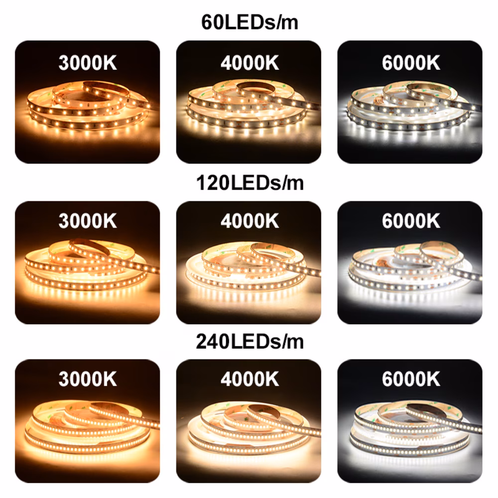 DMX512-24v-2835-120LED-10MM SINGLE COLOR - Image 7